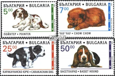 Produktbild von Briefmarken Bulgarien 1997 Mi 4265-4268 (kompl.Ausg.) postfrisch Rassehunde
