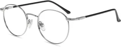 Zdjęcie produktu dla Okulary do czytania z lekkiego tworzywa srebrne