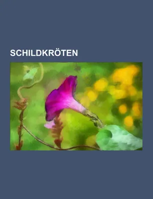 Produktbild von Schildkröten