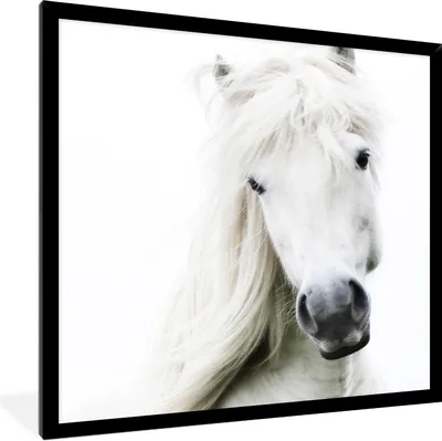 Produktbild von MuchoWow® Gerahmtes Poster Pferde - Nutztiere - Mähnen 40x40 cm - Poster mit Schwarzem Bilderrahmen Wandposter Rahmen Foto Bilder - Mit Rahmen - Wanddekoration Schlafzimmer