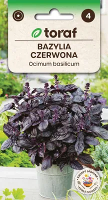 Zdjęcie produktu dla Nasiona ziół Bazylia czerwona zioła - Toraf 282