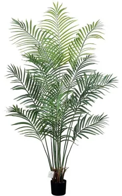 Produktbild von Kunstpalm 165cm mit 15 abnehmbaren Stielen, Dekoration für Zuhause und Büro