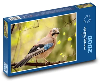 Obrázek produktu pro martinpuzzle - Puzzle 2000 - Sojka