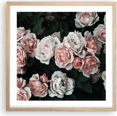 Produktbild von Gerahmtes Poster - Rahmen in heller Eiche - Rosen Blumen Blätter - 50x50 cm - Wand Bild - Wanddeko - Wandbilder - Kunstposter - Wandposter - Bilderrahmen - Bilder - Kunstdruck - P2NAC50x50-4760