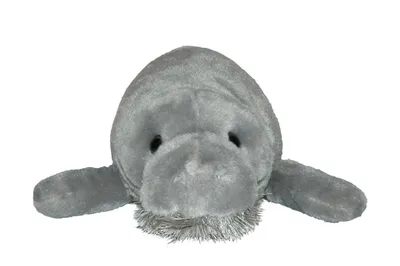 Immagine prodotto di Wild Republic - Giocattolo di peluche - Cuddlekins - Lamantino