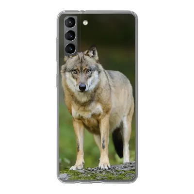 Produktbild von MuchoWow® Handyhülle Schutzhülle Hülle für Samsung Galaxy S21 Plus Wolf - Asien - Pflanzen Silikon Softcase Handy Hülle - Handy-Tasche