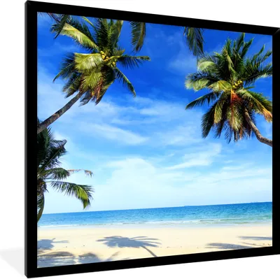 Produktbild von MuchoWow® Gerahmtes Poster Palmen - Strand - Meer 40x40 cm - Poster mit Schwarzem Bilderrahmen Wandposter Rahmen Foto Bilder - Mit Rahmen - Wanddekoration Schlafzimmer