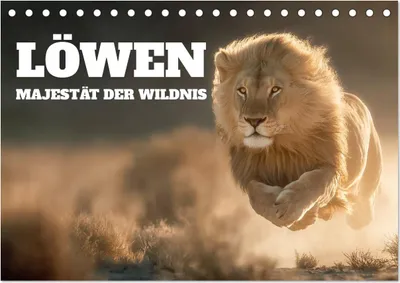 Produktbild von Löwen - Majestät der Wildnis (Tischkalender 2027 DIN A5 quer), CALVENDO Monatskalender