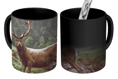Obrázok produktu pre MuchoWow® Magický pohár Jeleň - strom - hora 350 ml Pohár na zmenu farby Darček Nápad na darček - Foto hrnček