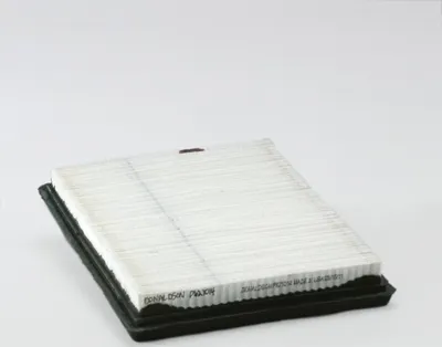 Produktbild von Luftfilter DONALDSON P621014 Primärfilter