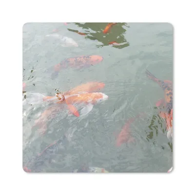 Produktbild von MuchoWow® Mauspad Mousepad Eine Gruppe von Koi-Karpfen in einem Teich 30x30 cm - Mousepads - Maus Mat - Pad - Mausunterlage - Gaming