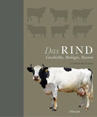 Produktbild von Das Rind
