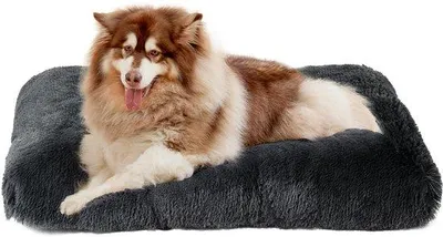 Produktbild von XXL Wasbares Hundekissen, dunkelgrau, 120x90cm, Antirutsch