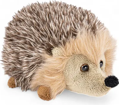 A plush toy hedgehog on a white background.