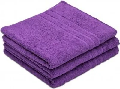 Obrázek produktu pro Ručník Standard 50x100 cm fialový