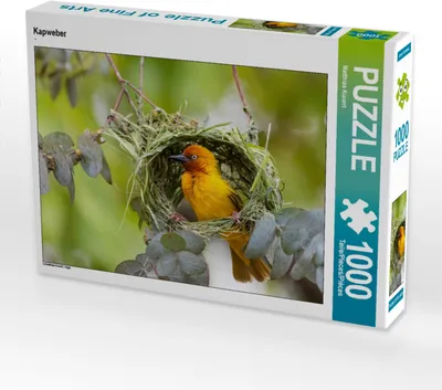 Produktbild von CALVENDO Puzzle Kapweber | 1000 Teile Lege-Größe 64x48cm Foto-Puzzle für glückliche Stunden