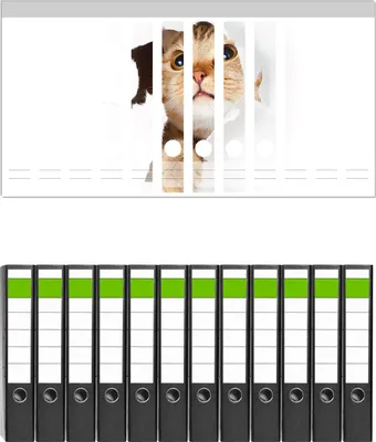 Produktbild von Wallario 12 Stück schmale Ordner inkl. Klebeetiketten mit Motive Katze mit Blick nach oben -  Set mit Rückenschildern / Ordnerrücken Stickern