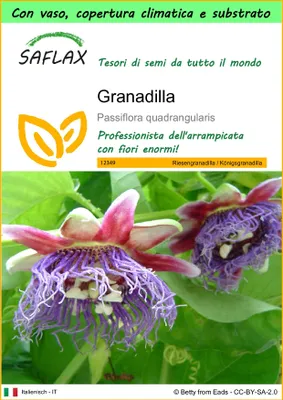 Immagine prodotto di SAFLAX Garden to go - Granadilla - 12 semi - Passiflora