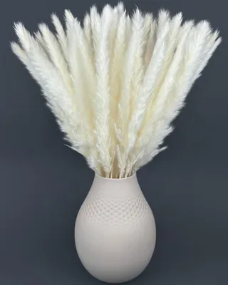 Produktbild von Pampasgras echt - Farbe weiß, 15 Stiele, 65-70 cm Länge, echtes Pampasgras Wohnzimmer, Trockenblumen für Schlafzimmer, Hochzeit, Boho Deko