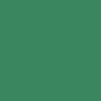 Productafbeelding van folia 6753 folia Tonpapier, (B)500 x (H)700 mm, 130 g/qm, moosgrün
