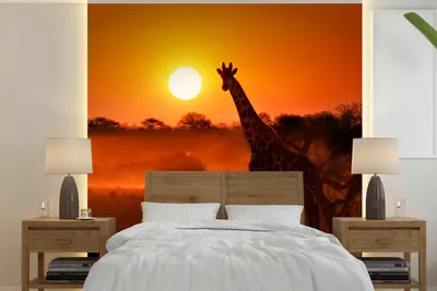 Produktbild von MuchoWow® Fototapete für Wohnzimmer oder Schlafzimmer Wandtapete Vinyl Motivtapete Giraffe - Sonne - Savanne - 260x260 cm - Papiertapeten