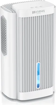 A white electric dehumidifier with a blue water level indicator.