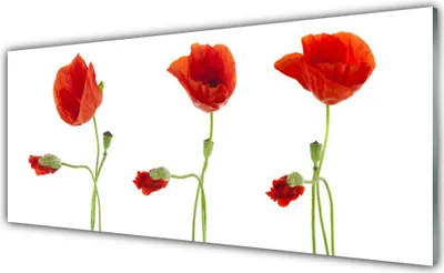 Produktbild von Acrylglasbilder 125x50 Wandbild Druck Mohnblumen Pflanzen