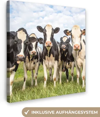 Zdjęcie produktu dla MuchoWow® - Obraz na płótnie - Krowy - Pastwisko - Zwierzęta - Natura - Trawa, fototapeta, dekoracja ścienna, obrazy do salonu, 50x50cm