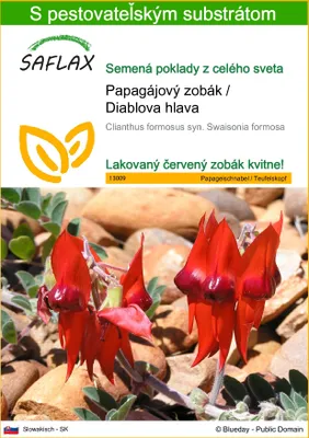 Obrázok produktu pre SAFLAX - Papagájový zobák / Diablova hlava - Clianthus formosus syn. Swaisonia formosa - 20 Semená - S pestovateľským substrátom bez klíčkov