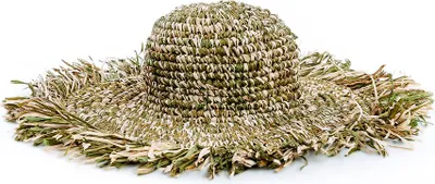 Image de Bazar Bizar Chapeau raphia marron et vert 42x42x11cm