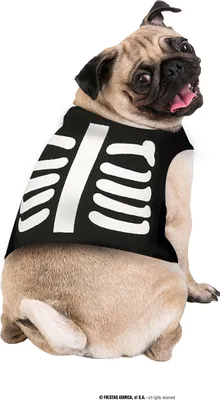 Produktbild von Skelett Haustier Outfit Halloween Fasching Hund Kostüm Party Schwarz Knochen, Farbe: Schwarz