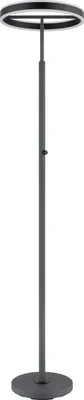 Produktbild von LED Stehleuchte EMANUEL, Anthrazit, Metall, schwenkbar, matt, H 181 cm