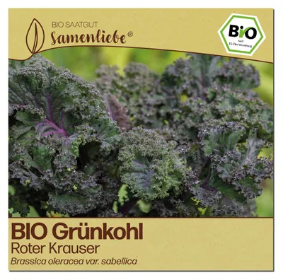 Produktbild von Samenliebe  Grünkohl Samen | Roter Krauser - winterhart & zweijährig & rot & gekrauster - samenfestes  Saatgut