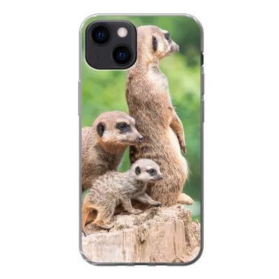 Produktbild von MuchoWow® Handyhülle Schutzhülle Hülle für iPhone 13 Erdmännchen - Baumstumpf - Jungtier Silikon Softcase Handy Hülle - Karteninhaber