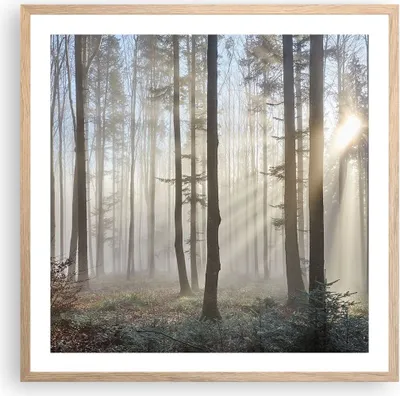 Produktbild von Gerahmtes Poster - Rahmen in heller Eiche - Wald Baum Natur - 60x60 cm - Wand Bild - Wanddeko - Wandbilder - Kunstposter - Wandposter - Bilderrahmen - Bilder - Kunstdruck - Wandbild - P2NAC60x60-3749