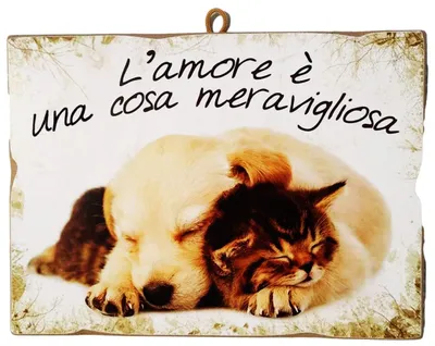 Vintage-Bild Hunde & Katzen, Holzprint, 24x17 cm