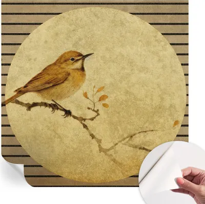 Zdjęcie produktu dla Samoprzylepna tapeta ścienna – dekoracyjna tapeta do salonu – folia samoprzylepna do obrazów ściennych – folia tapetowa do dekoracji ścian – 250 x 250 cm – Harmonievogel