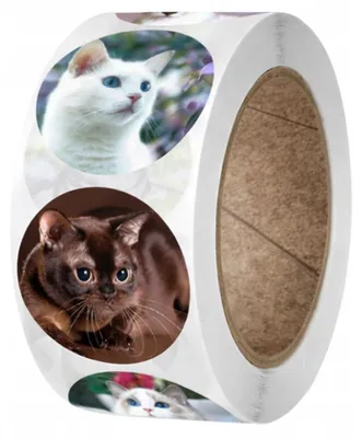 Produktbild von EDIBAZZAR | Aufkleber, 500 Stück auf einer Rolle, Katzen, Kätzchen, Tiere, Motivationsaufkleber, Dekoration