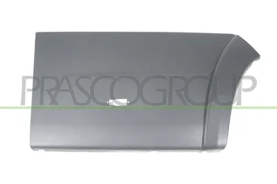 Produktbild von PRASCO Zierleiste für die Tür Hinten Rechts Leiste für FIAT Ducato Kastenwagen (250, 290) FT9301465