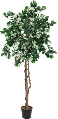 Obrázok produktu pre EUROPALMS Bougainvillea, umelá rastlina, biela, 180cm