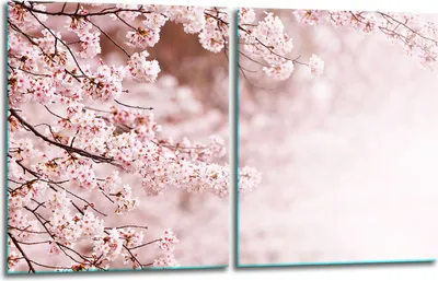 Produktbild von Herdabdeckplatten 2x40x52 Glaskeramikkochfeld 2-Teilig Glas Spritzschutz Blumen