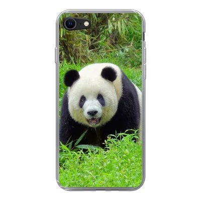 Produktbild von MuchoWow® Handyhülle Schutzhülle Hülle für iPhone 8 Panda - Gras - Tier Silikon Softcase Handy Hülle - Schutzhaube