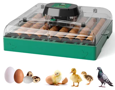 Brutmaschine 72 Eier, vollautomatisch, Temperatur- und Feuchtigkeitsregelung