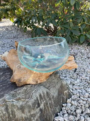 Produktbild von Wurzelholz Glas Schale Big M,Deko Schale Big M, Gamal big M,Wurzel Holz Liqva M