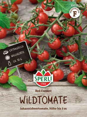 Produktbild von Wildtomate Red Currant | Wildtomatensamen von Sperli