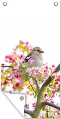 Produktbild von MuchoWow® 40x80 cm Outdoor-Poster Gartendeko Sichtschutz Garten Poster für den Garten  Vogel zwischen rosa Blumen