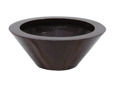 Image de EUROPALMS LEICHTSIN BOWL-15, brun, brillant (83011825)
