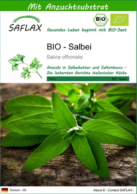 Produktbild von SAFLAX - BIO - Salbei - Salvia officinalis - 60 Samen - Mit keimfreiem Anzuchtsubstrat