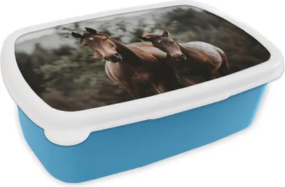 Produktbild von KitchenYeah® Lunchbox Brotzeit Brotdose 17x11 cm Pferde - Wald - Berge Kinder Brotzeitdose - Lunch - Kunststoff  - Brotbüchse - Sandwichbox - Lunchbox für Kinder