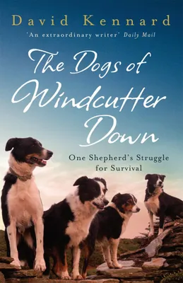 Produktbild von The Dogs of Windcutter Down